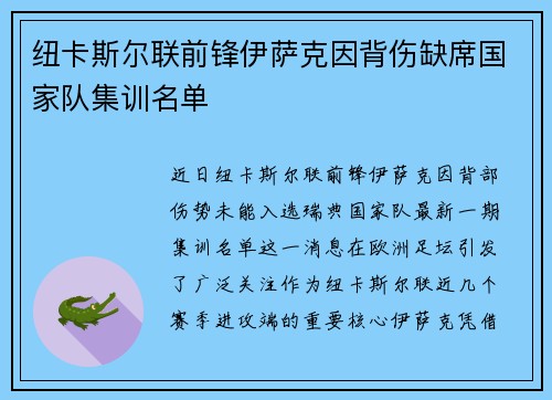纽卡斯尔联前锋伊萨克因背伤缺席国家队集训名单